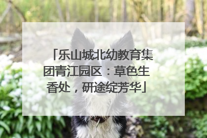 乐山城北幼教育集团青江园区：草色生香处，研途绽芳华