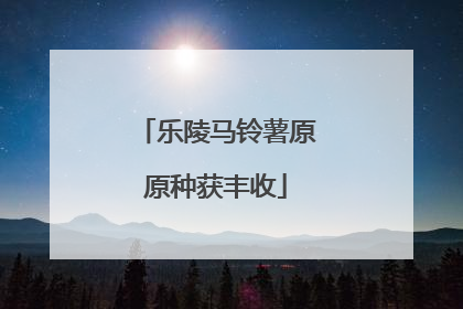 乐陵马铃薯原原种获丰收