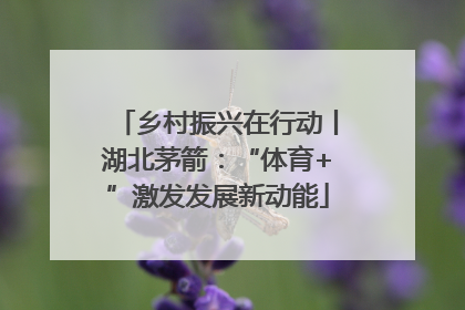 乡村振兴在行动丨湖北茅箭：“体育+”激发发展新动能