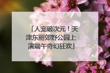 人宠破次元！天津东丽郊野公园上演端午奇幻狂欢