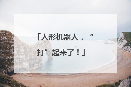 人形机器人，“打”起来了！
