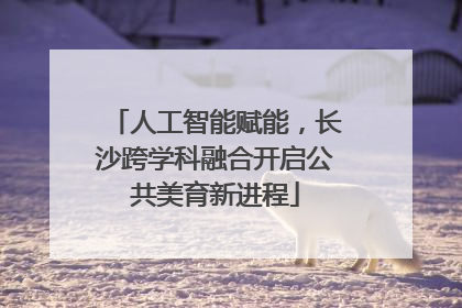 人工智能赋能，长沙跨学科融合开启公共美育新进程