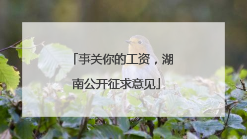 事关你的工资，湖南公开征求意见