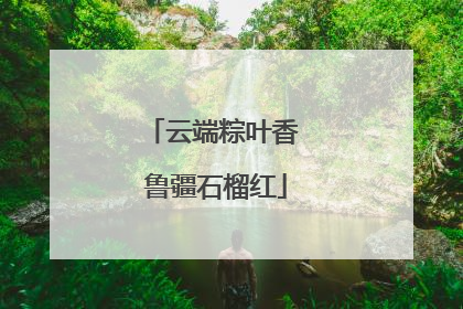 云端粽叶香 鲁疆石榴红