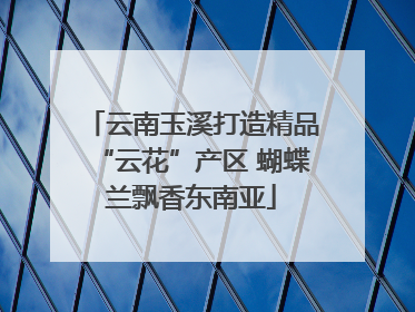 云南玉溪打造精品“云花”产区 蝴蝶兰飘香东南亚