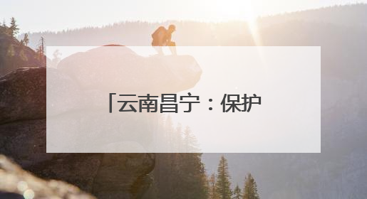 云南昌宁：保护区内珍稀野生动物频频“出镜”