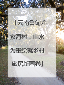 云南鲁甸尤家湾村：山水为墨绘就乡村旅居新画卷