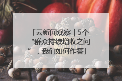 云新闻观察｜5个“群众持续增收之问”，我们如何作答