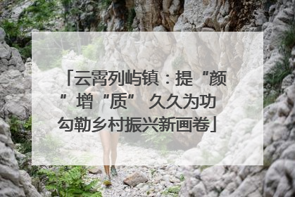 云霄列屿镇：提“颜”增“质” 久久为功勾勒乡村振兴新画卷