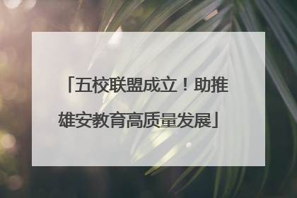 五校联盟成立！助推雄安教育高质量发展