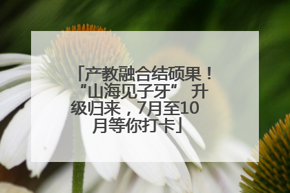 产教融合结硕果！“山海见子牙” 升级归来，7月至10 月等你打卡