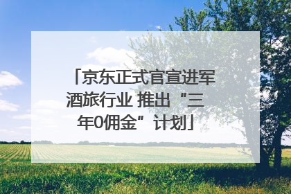 京东正式官宣进军酒旅行业 推出“三年0佣金”计划