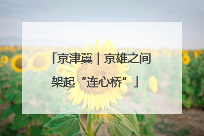 京津冀｜京雄之间架起“连心桥”