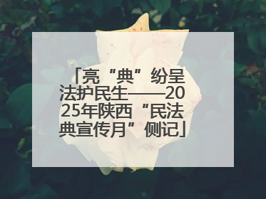 亮“典”纷呈 法护民生——2025年陕西“民法典宣传月”侧记