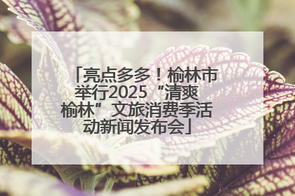 亮点多多！榆林市举行2025“清爽榆林”文旅消费季活动新闻发布会