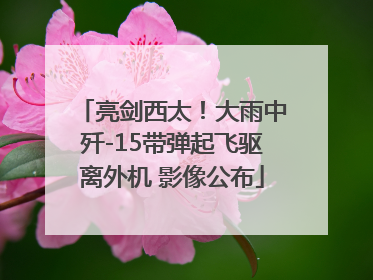 亮剑西太！大雨中歼-15带弹起飞驱离外机 影像公布