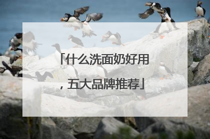 什么洗面奶好用，五大品牌推荐