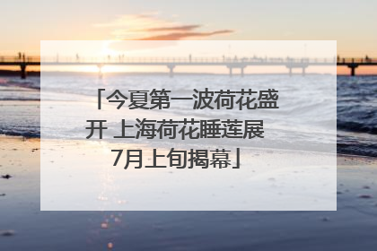 今夏第一波荷花盛开 上海荷花睡莲展7月上旬揭幕