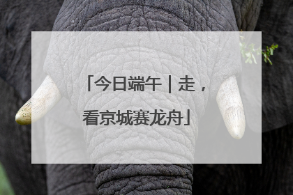 今日端午｜走，看京城赛龙舟