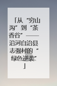从“穷山沟”到“茶香谷”——沿河自治县志强村的“绿色逆袭”