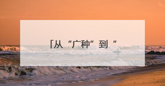 从“广种”到“细管” 关岭枇杷产业的跃升之路