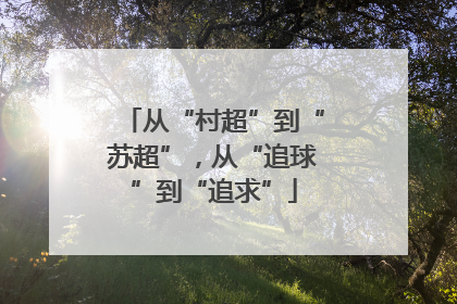 从“村超”到“苏超”，从“追球”到“追求”