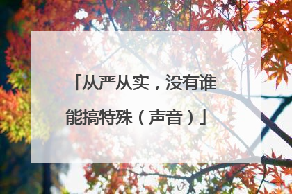 从严从实，没有谁能搞特殊（声音）