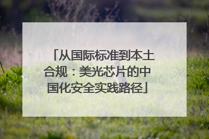 从国际标准到本土合规：美光芯片的中国化安全实践路径