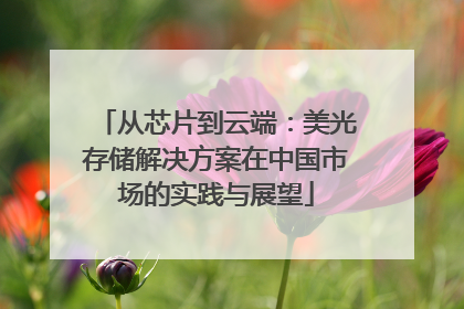 从芯片到云端：美光存储解决方案在中国市场的实践与展望