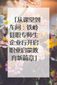 从课堂到车间：铁岭县职专师生企业行开启职业启蒙教育新篇章