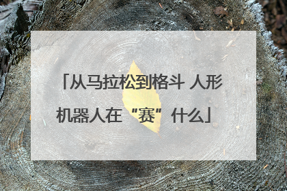 从马拉松到格斗 人形机器人在“赛”什么