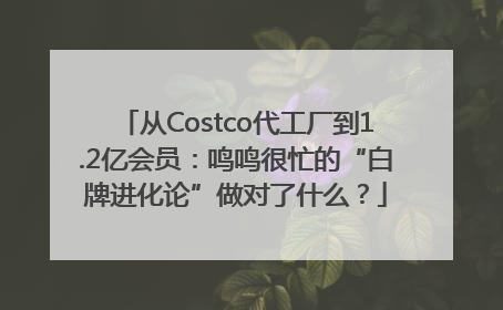 从Costco代工厂到1.2亿会员：鸣鸣很忙的“白牌进化论”做对了什么？