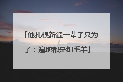 他扎根新疆一辈子只为了：遍地都是细毛羊