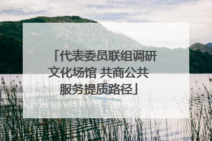 代表委员联组调研文化场馆 共商公共服务提质路径
