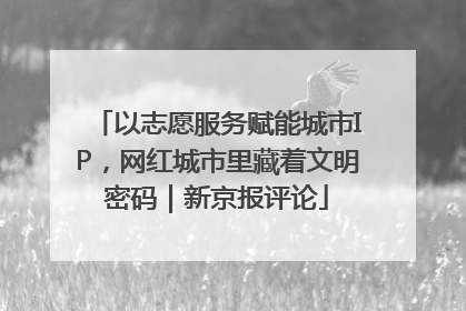 以志愿服务赋能城市IP，网红城市里藏着文明密码｜新京报评论