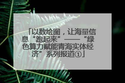 以数绘图，让海量信息“跑起来”——“绿色算力赋能青海实体经济”系列报道①