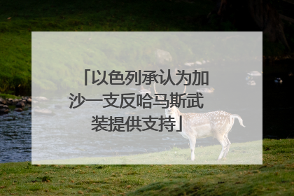以色列承认为加沙一支反哈马斯武装提供支持