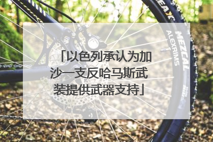 以色列承认为加沙一支反哈马斯武装提供武器支持