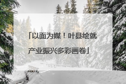 以面为媒！叶县绘就产业振兴多彩画卷