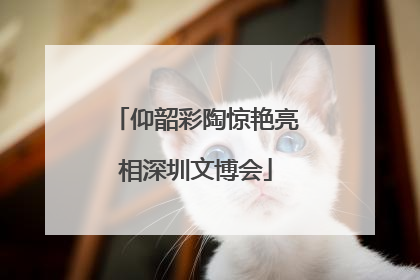 仰韶彩陶惊艳亮相深圳文博会