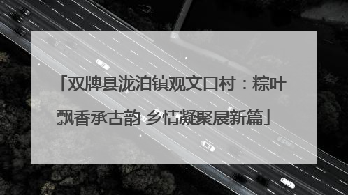 双牌县泷泊镇观文口村：粽叶飘香承古韵 乡情凝聚展新篇