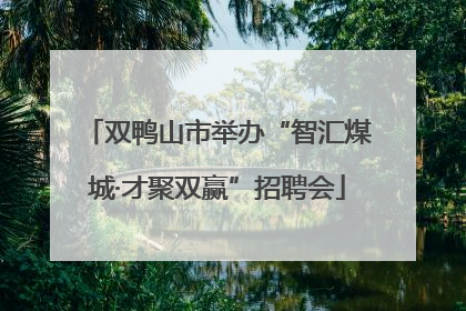 双鸭山市举办“智汇煤城·才聚双赢”招聘会