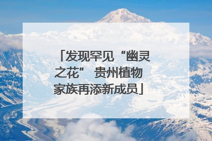 发现罕见“幽灵之花” 贵州植物家族再添新成员