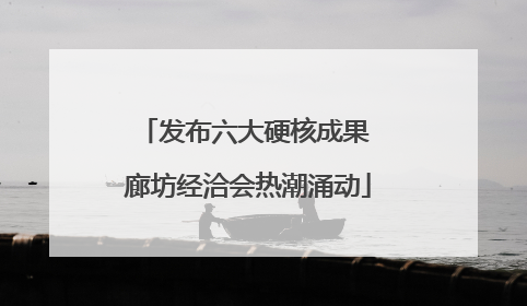 发布六大硬核成果 廊坊经洽会热潮涌动