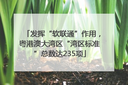 发挥“软联通”作用，粤港澳大湾区“湾区标准”总数达235项