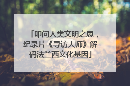 叩问人类文明之思，纪录片《寻访大师》解码法兰西文化基因