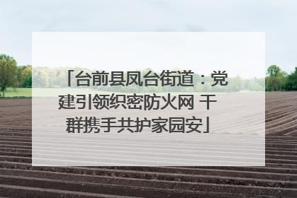 台前县凤台街道：党建引领织密防火网 干群携手共护家园安