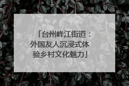 台州峰江街道：外国友人沉浸式体验乡村文化魅力