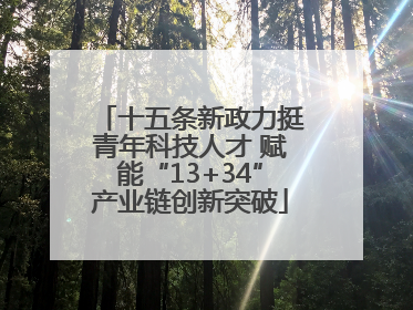 十五条新政力挺青年科技人才 赋能“13+34”产业链创新突破
