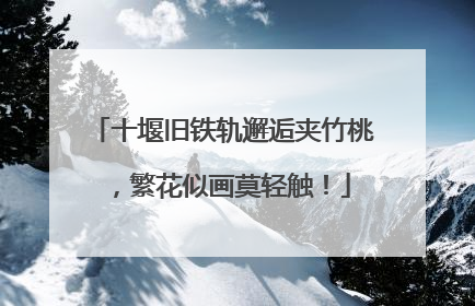 十堰旧铁轨邂逅夹竹桃，繁花似画莫轻触！